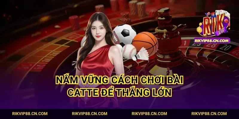 Nắm vững cách chơi bài catte để thắng lớn
