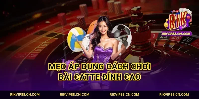 Mẹo áp dụng cách chơi bài catte đỉnh cao