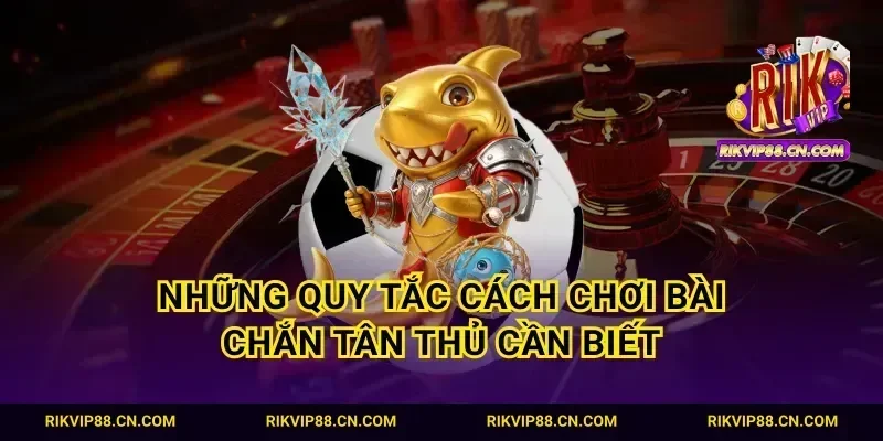 Những quy tắc cách chơi bài chắn tân thủ cần biết