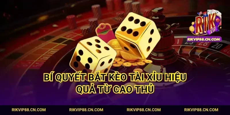 Bí quyết bắt kèo tài xỉu hiệu quả từ cao thủ