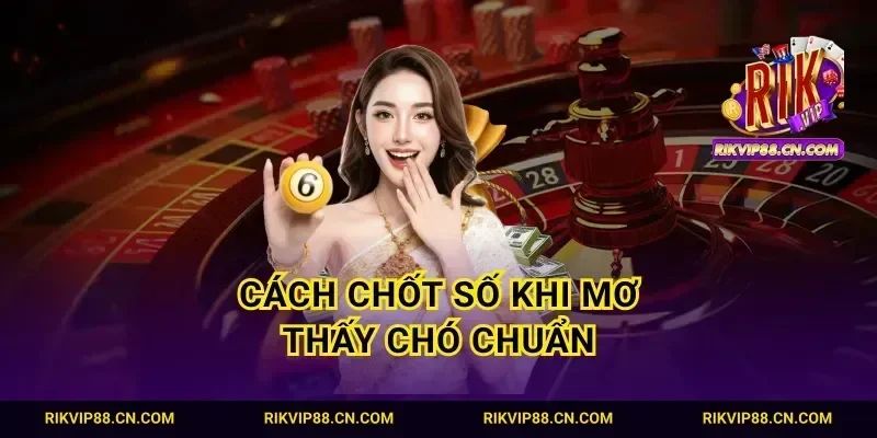 Cách chốt số khi mơ thấy chó chuẩn