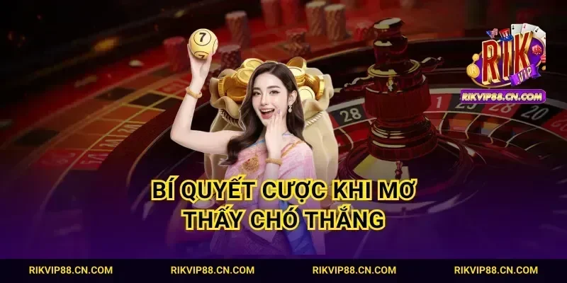 Bí quyết cược khi mơ thấy chó thắng