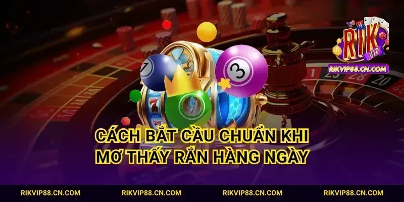 Cách bắt cầu chuẩn khi mơ thấy rắn hàng ngày