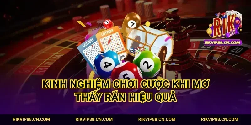 Kinh nghiệm chơi cược khi mơ thấy rắn hiệu quả